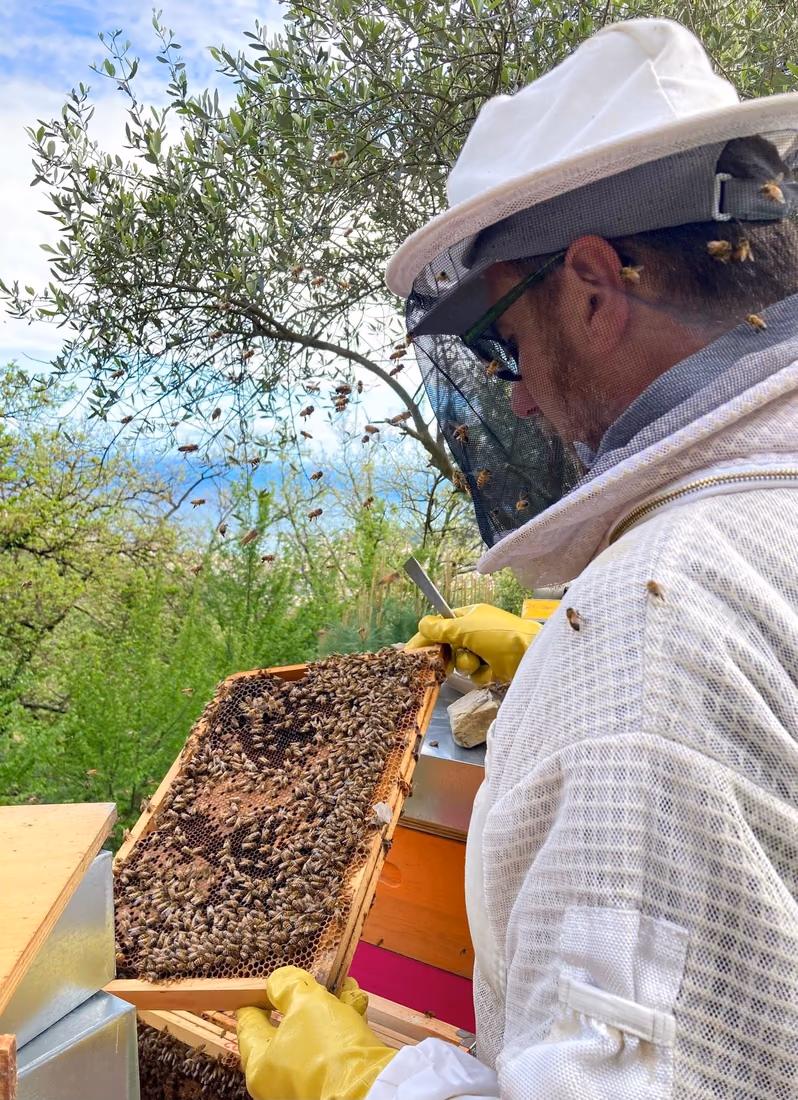 Claudio Barbieri al lavoro tra le arnie
