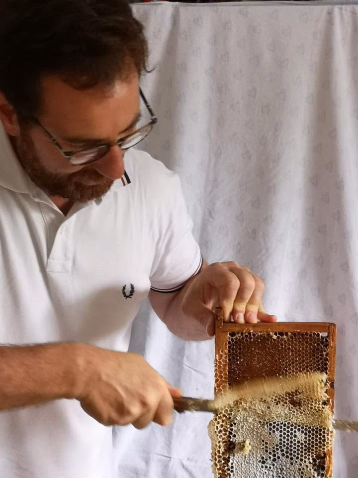 Apicoltore che tiene in mano un telaino di miele appena estratto