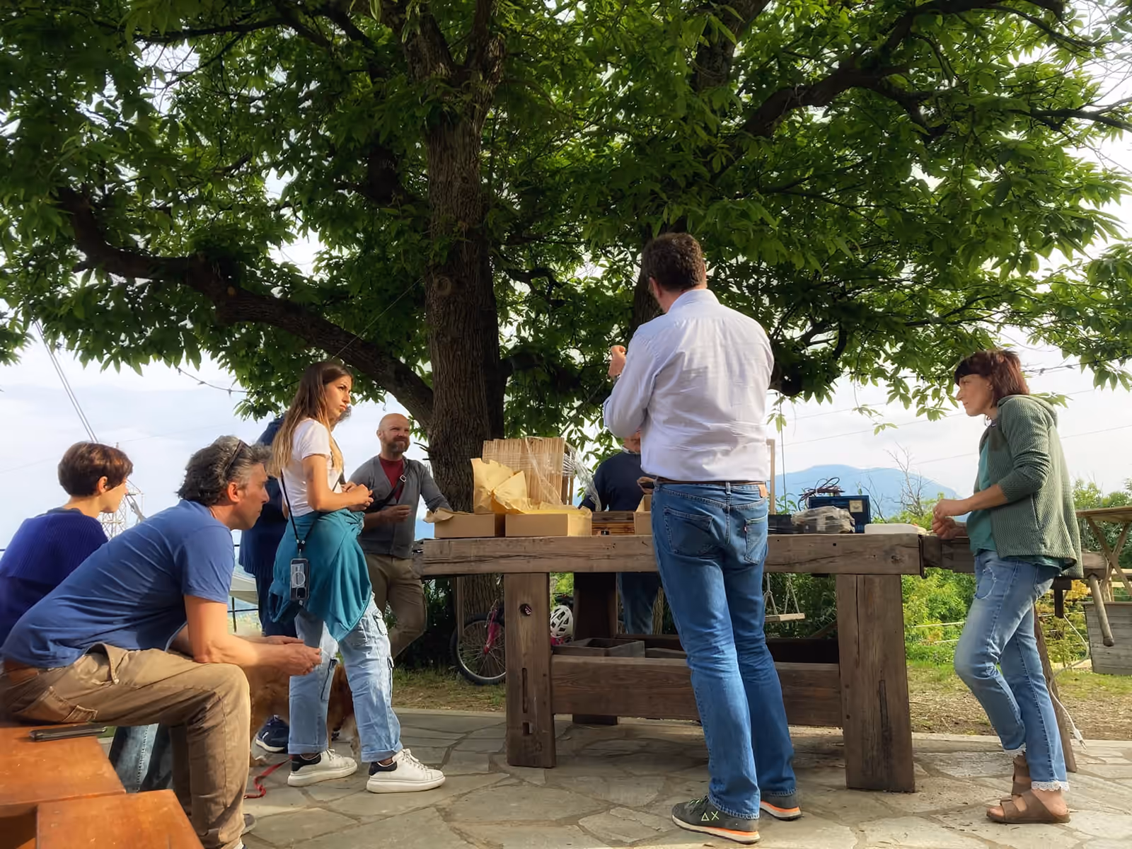 Gruppo riunito attorno a un tavolo durante un incontro di apicoltura