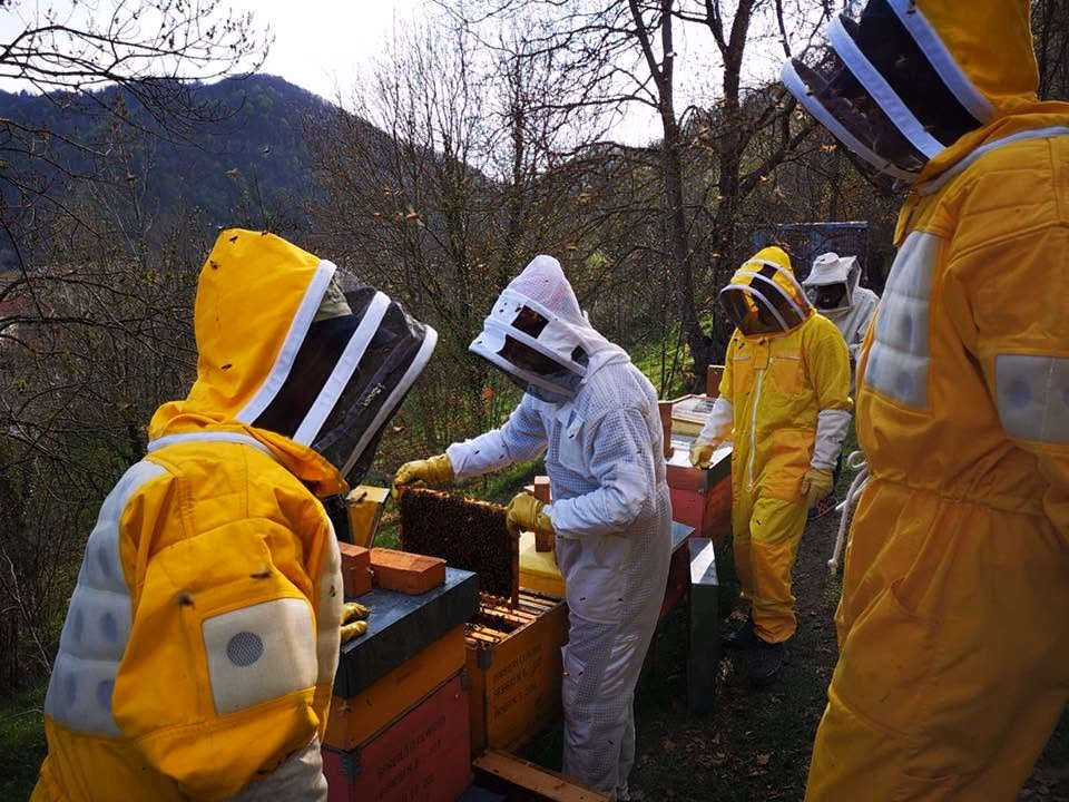 Apicoltori al lavoro durante una lezione in apiario