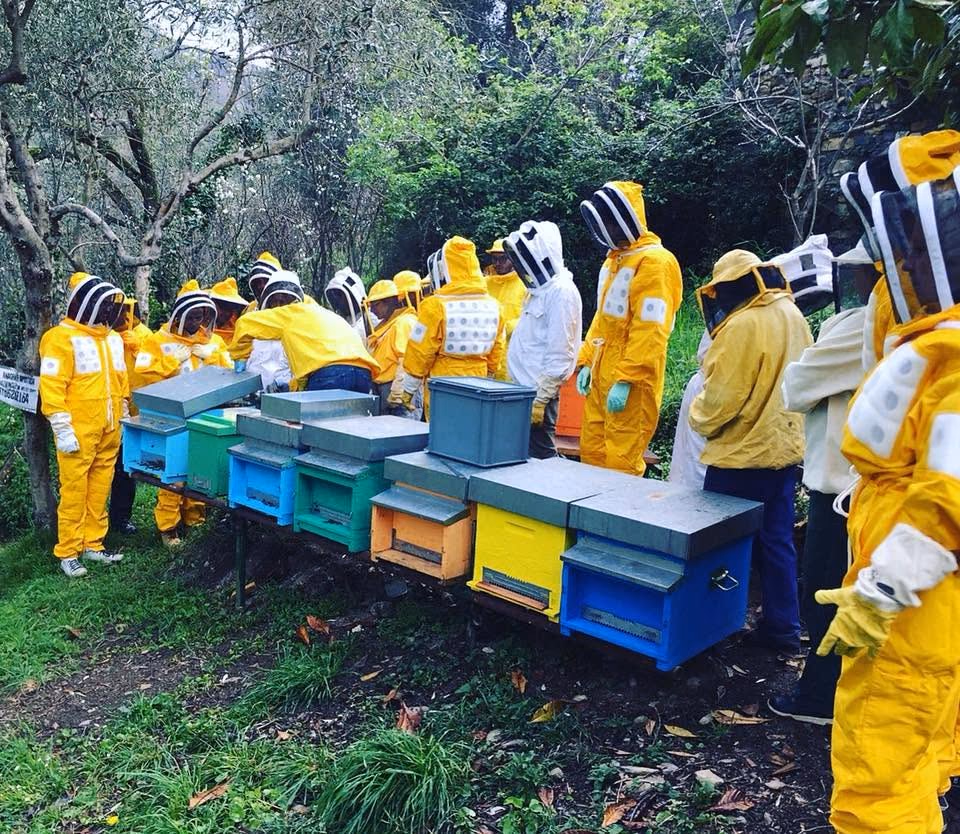 Gruppo in tuta da apicoltura durante una lezione in apiario
